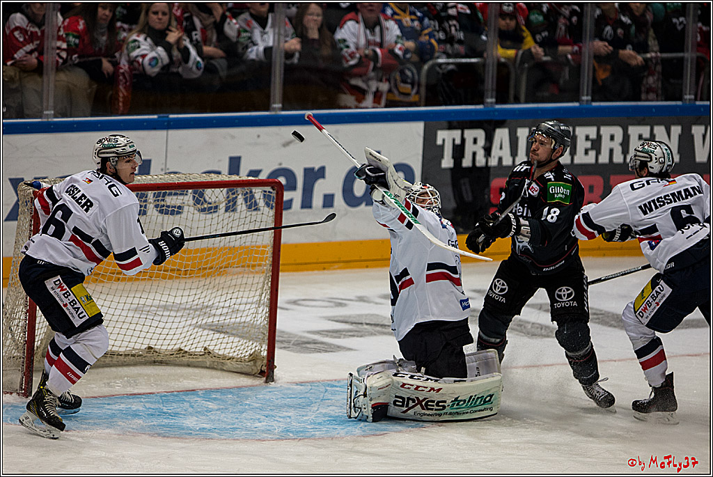 Koelner Haie - Eisbaeren Berlin, 13.11.2016